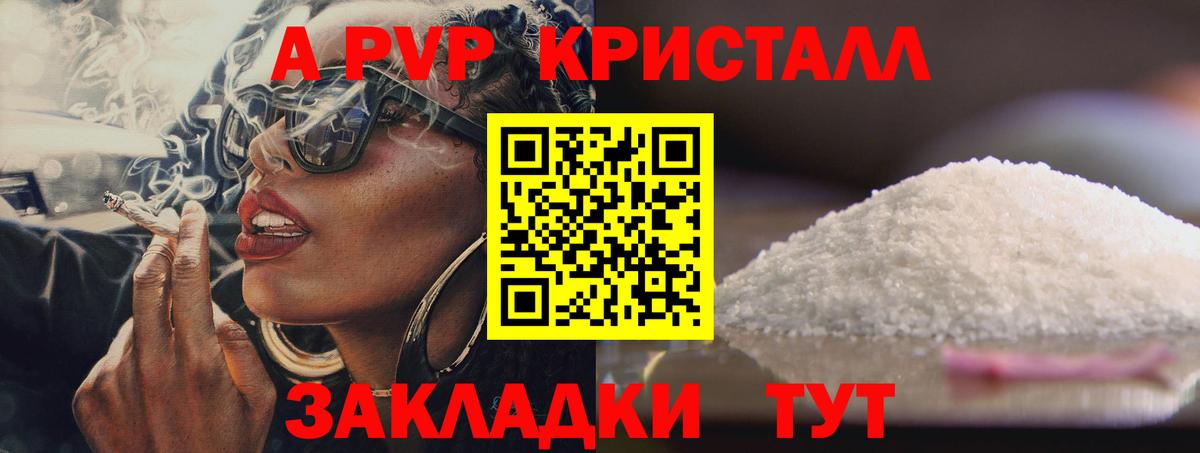 Alfa_PVP СК КРИС Карабулак