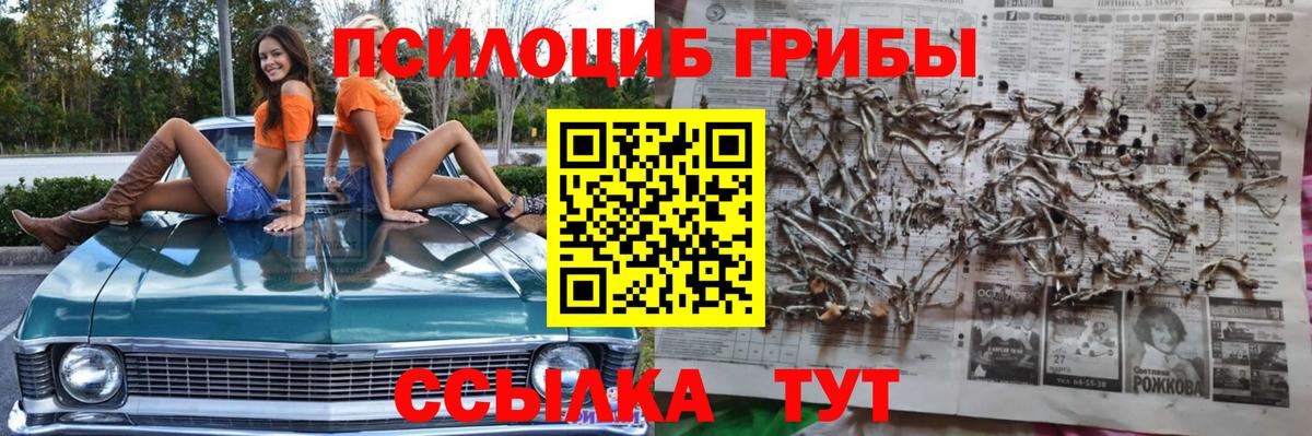 Карабулак  Галлюциногенные грибы мухоморы  Вход с VPN 